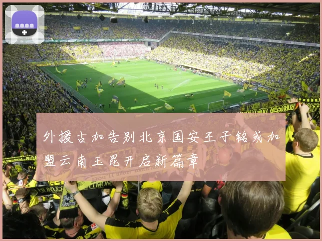 外援古加告别北京国安王子铭或加盟云南玉昆开启新篇章