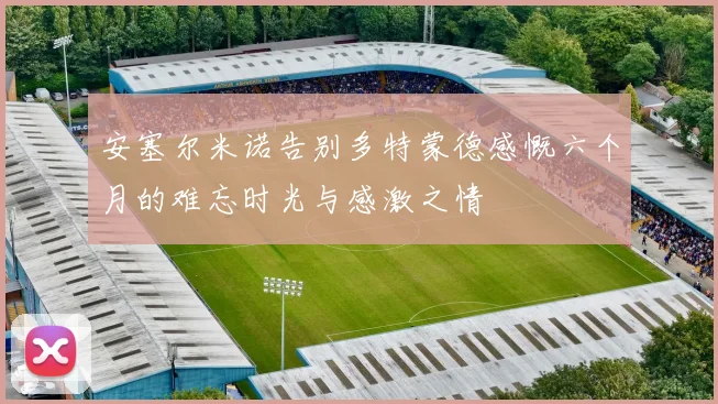 安塞尔米诺告别多特蒙德感慨六个月的难忘时光与感激之情