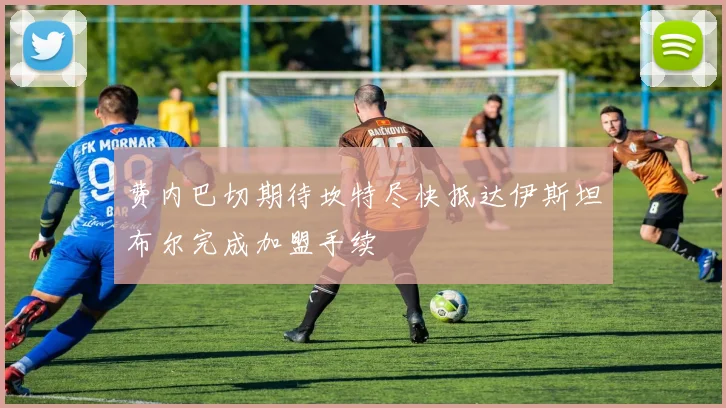 费内巴切期待坎特尽快抵达伊斯坦布尔完成加盟手续