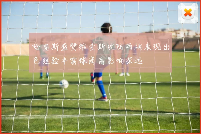 哈克斯盛赞维金斯攻防两端表现出色经验丰富球商高影响深远